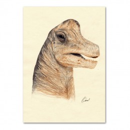 Obrázek dinosaura...